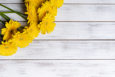 Yellow Daisies or mums on a white plank background with copy spaceの写真素材