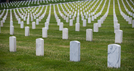 Hundreds of white grave markers at a national cemetaryの写真素材