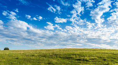 Pretty green Meadow with beautiful blue sky background with copy spaceの写真素材