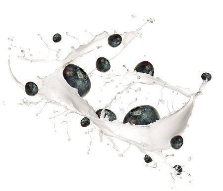 Blueberries in cream splash, isolated on white background の写真素材