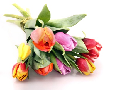 Bouquet of tulips, isolated on white background の写真素材