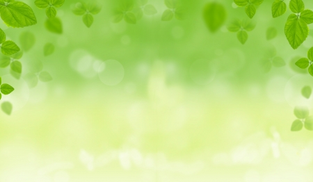 Floral background Floral background