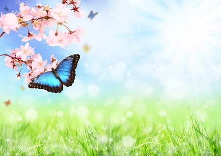 Beautiful spring meadow with exotic butterfly on blooming branchの写真素材