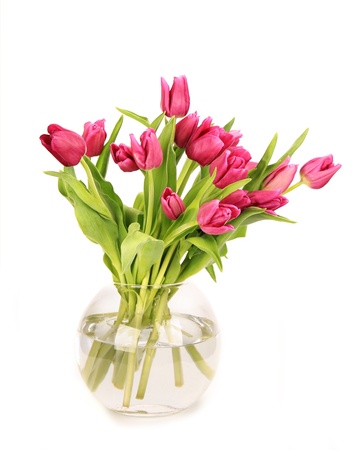 Tulips in vaseの写真素材