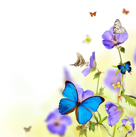 Beautiful flower background with exotic butterflies の写真素材