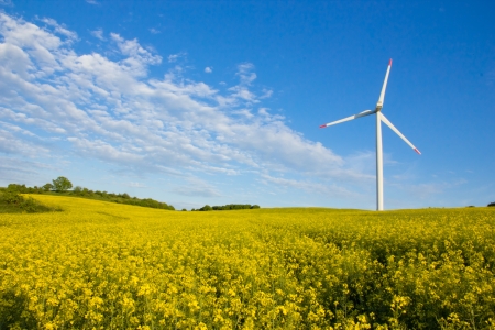 Windmill in rape fieldの写真素材