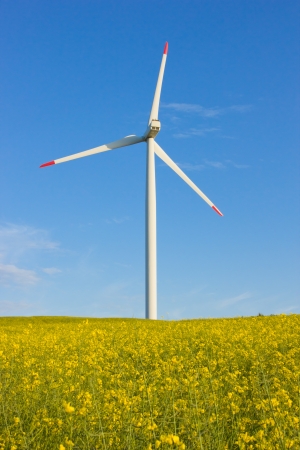 Windmill in rape fieldの写真素材