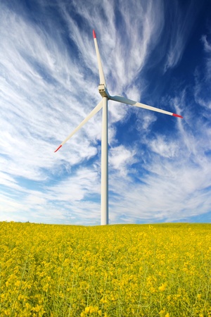 Windmill in rape fieldの写真素材