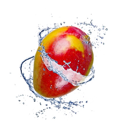 Mango in water splash, isolated on white backgroundの写真素材