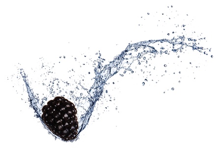  Fresh blackberry in water splash, isolated on white background の写真素材