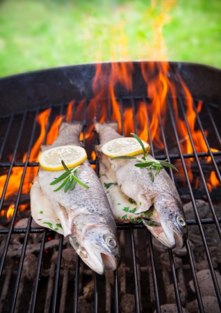 Delicious grilled trouts on fireの写真素材