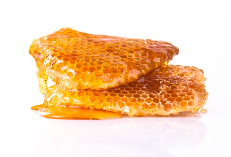 Studio shot of honeycomb, isolated on white backgroundの写真素材