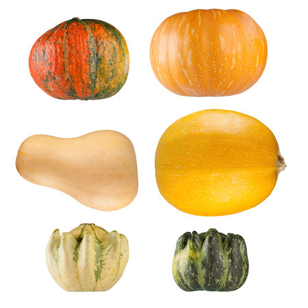 Set of isolated pumpkins on white background