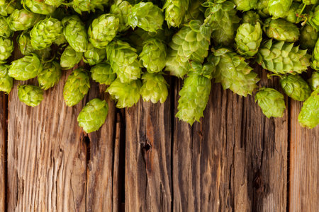 Fresh green hops on a wooden desk, low depth of focus