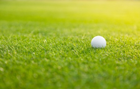 Golf ball on the green lawn, low depth of focusの写真素材