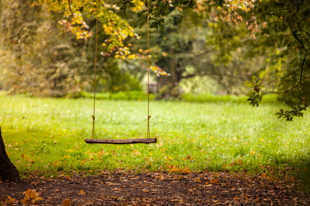 Empty swing placed in the garden