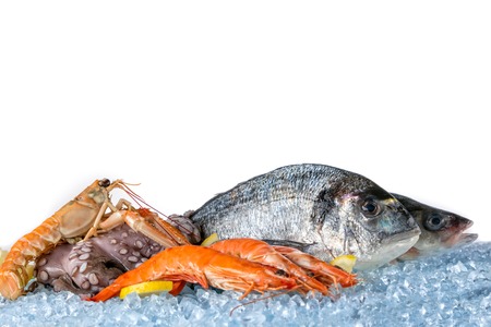 Fresh seafood placed on ice cubes, isolated on white backgroundの写真素材