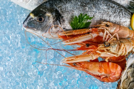 Fresh seafood placed on ice cubes, isolated on white backgroundの写真素材