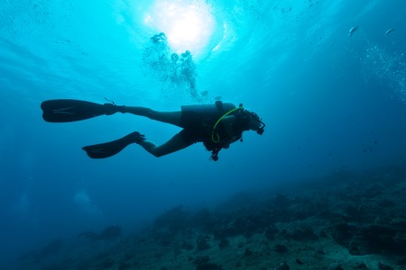 Young female scuba diver silhouette swimming underwaterの写真素材
