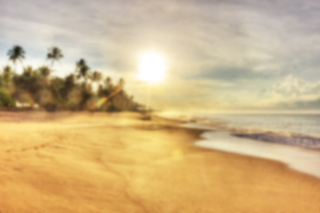 Abstract summer blur sandy beach with palm trees in sunset lightの写真素材