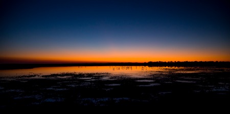 Beautiful sunset panorama with flamingos silhouettes, national park Camargue, Provence, Franceの写真素材