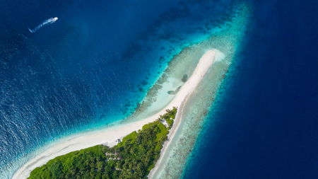 Beautiful aerial view of Maldives tropical beach with palms and white sand. Travel and vacation concept