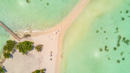 Beautiful aerial view of Maldives jetty and tropical beach with palms and white sand. Travel and vacation conceptの写真素材