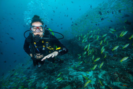 Woman scuba diver exploring sea bottom. Underwater life with beautiful corals and lots of colored...