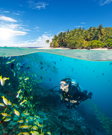 Woman scuba diver exploring sea bottom. Underwater life with beautiful corals and lots of colored fish. Half to half compositionの写真素材