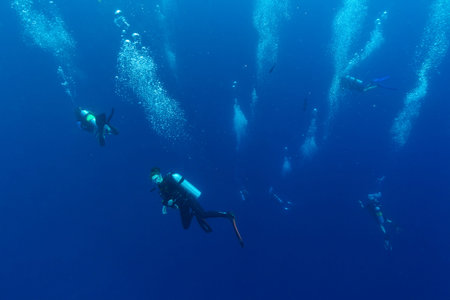 Group of scuba divers descending into deepness, underwater photography