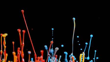 Abstract coloured paint splashes isolated on black background. Macro photo, artistic design.