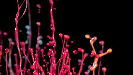 Abstract coloured paint splashes isolated on black background. Macro photo, artistic design.