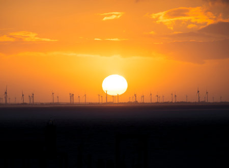 Windmill offshore turbines silhouettes during sunrise.