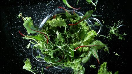 Freeze motion of rotating and flying pieces of lettuce, isolated on black background. Concept of healthy lifestyle.の写真素材
