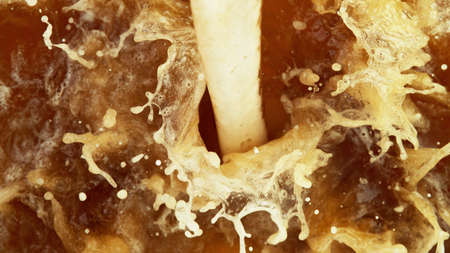 Pouring beer on macro shot with splashing foamの写真素材