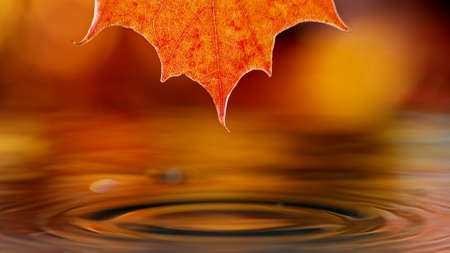 Macro photo of premium dark chocolate splashing. Freeze motion, splashing melted chocolate background, twister shape.の写真素材