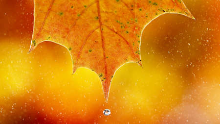 Macro photo of premium dark chocolate splashing. Freeze motion, splashing melted chocolate background, twister shape.の写真素材