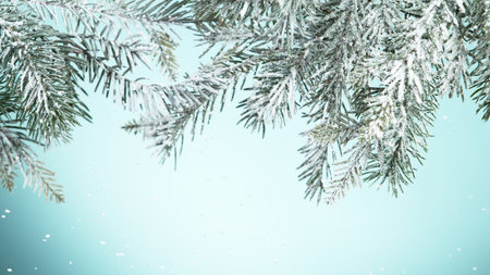 Fir tree branch covered with snow. Isolated on blue background