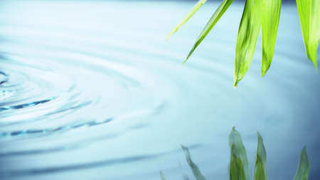 Blue water waves abstract background, free space for text.の写真素材