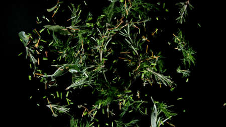 Freeze motion of falling coriander leaves on cutting board .. Concept of flying food.の写真素材