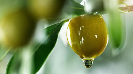 Freeze motion of flying green olives with leaves, isolated on green background.の写真素材