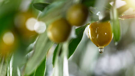 Detail of oil bubbles, macro shot, abstract background.の写真素材