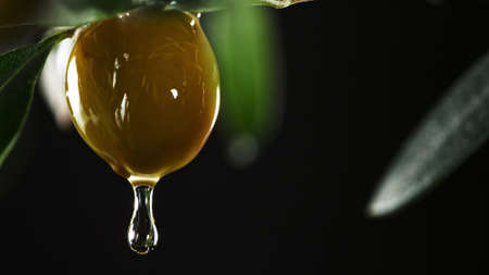 Detail of oil bubbles, macro shot, abstract background.の写真素材