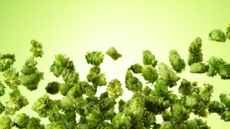 Freeze motion of flying hops cones on green background. Fresh hops, beer preparation concept.の写真素材