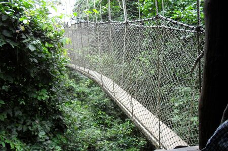 Hanging Rope-way in Kakun Park , Ghanaの写真素材