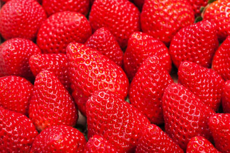 Many fresh strawberries closeup with studio lightingの写真素材