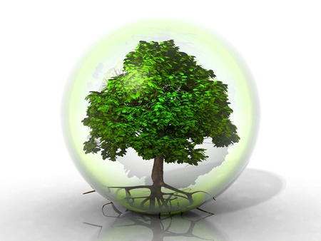 a green tree in a transparent bubbleの写真素材