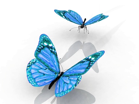 the beautiful butterfly with wingsの写真素材