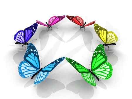 the beautiful butterfly with wingsの写真素材