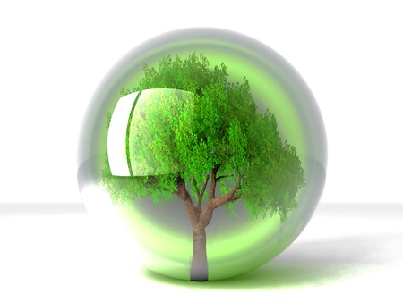 a green tree in a transparent bubbleの写真素材